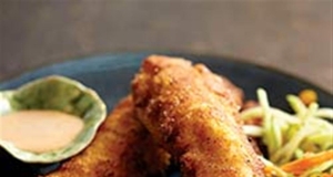 Cajun Corn Meal Breaded Chicken and Fish