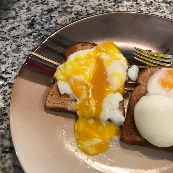 Sous Vide 
