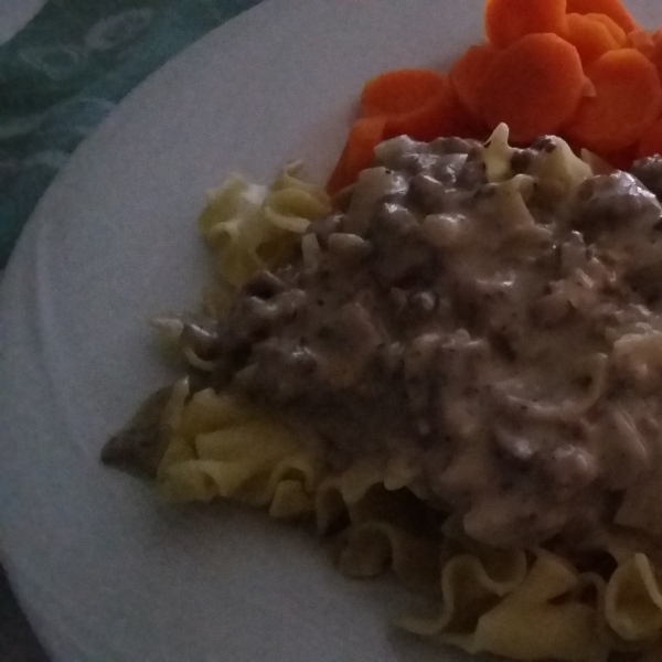 One-Pot Hamburger Stroganoff