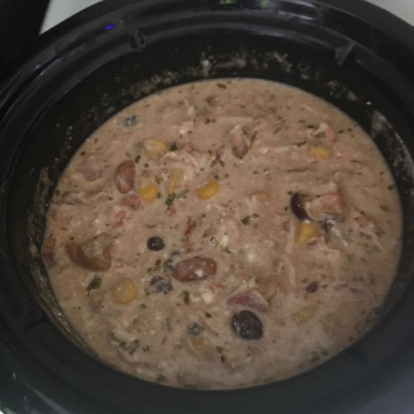 Latin-Inspired Spicy Cream Chicken Stew