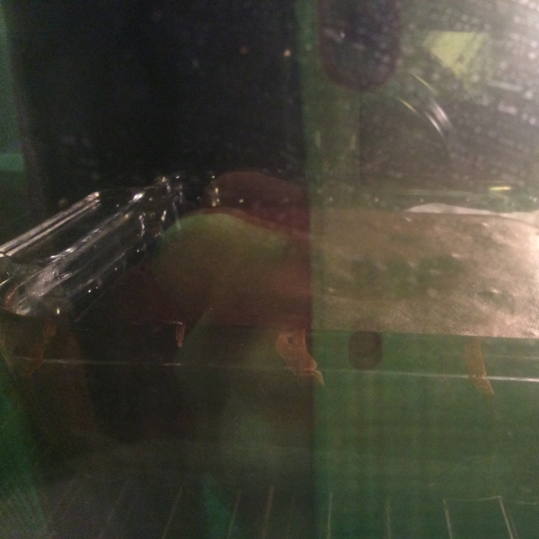 Quick Cake