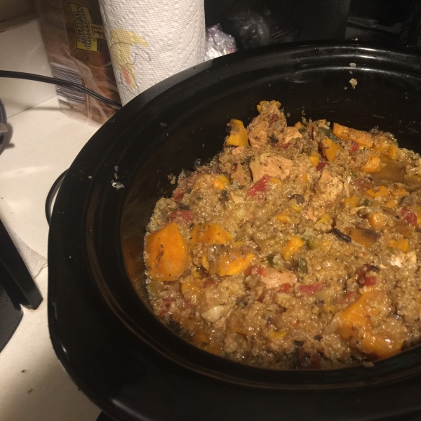 Slow Cooked Chicken Stew