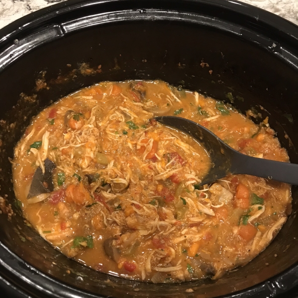 Slow Cooked Chicken Stew