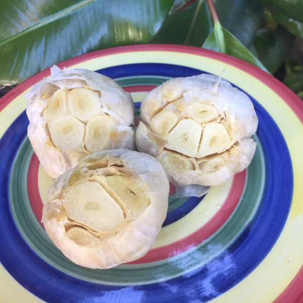 Instant Pot Roasted Garlic