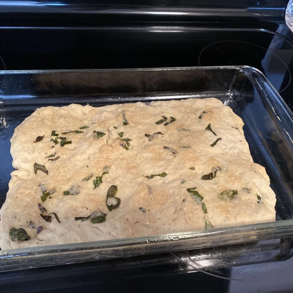 Exquisite Yeastless Focaccia