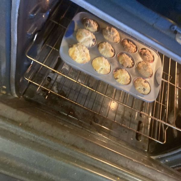 Chocolate Chip Muffins