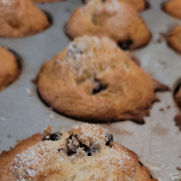 Chocolate Chip Muffins