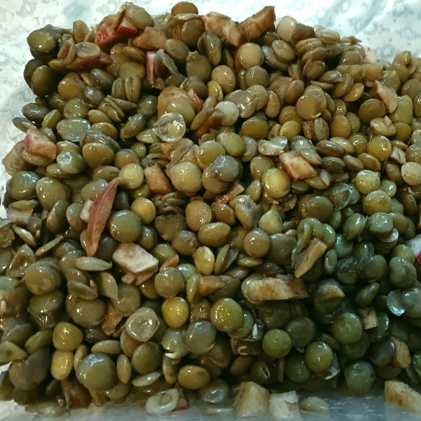 Tangy Summertime Lentils and Radish