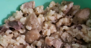 Gizzards and Rice