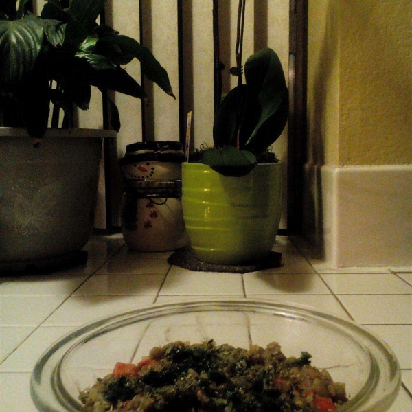 Easy Lentils Side Dish