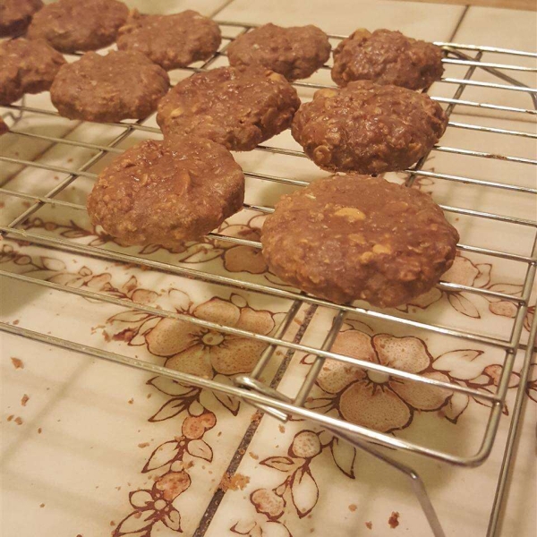 Lactation-Friendly Cookies