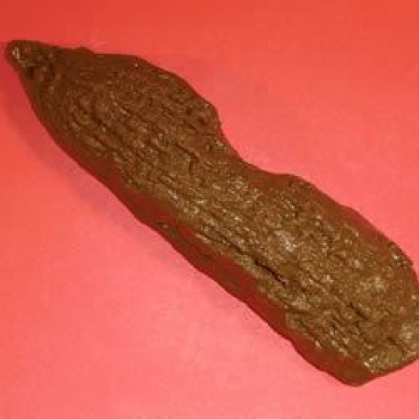Cat Poop Cookies III