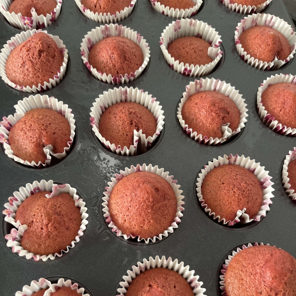 Chocolate Cupcakes