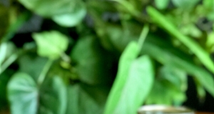 Frozen Hot Chocolate with Evaporated Milk