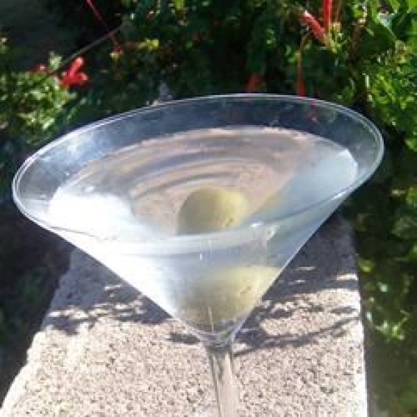 Gibson Cocktail