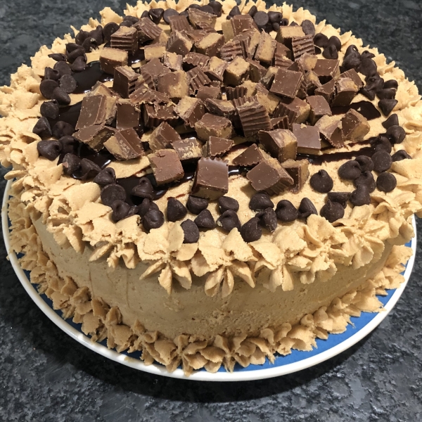 Peanut Butter Cake VI