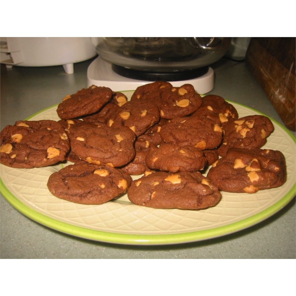 Devil's Food Peanut Butter Chip Cookies