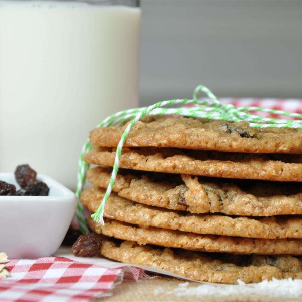 Cookie Mix in a Jar IX
