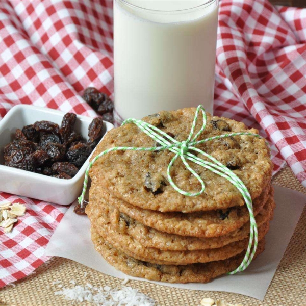 Cookie Mix in a Jar IX