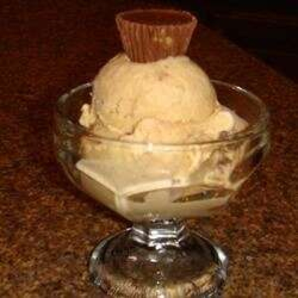 Peanut Butter Cup Ice Cream