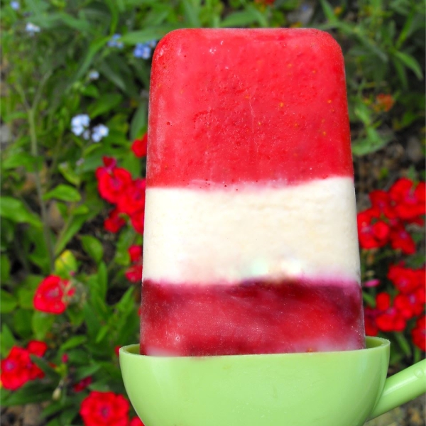 Creamy Raspberry Ice Pops