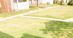 Air Fryer BBQ Onion Rings