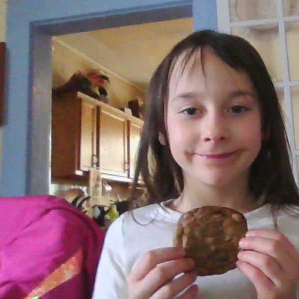 Chocolate Chip Cookies (Gluten Free)