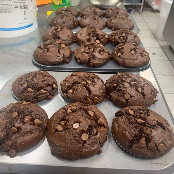 Moist Chocolate Muffins