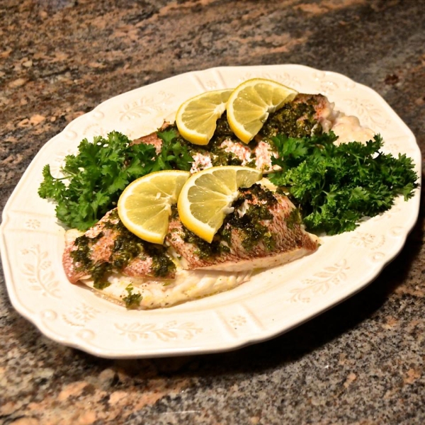 Mediterranean Red Snapper