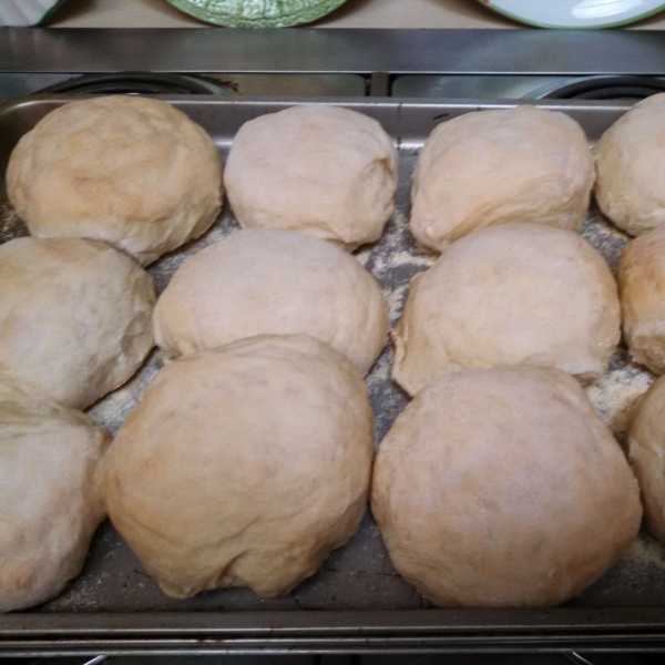 Sourdough Rolls