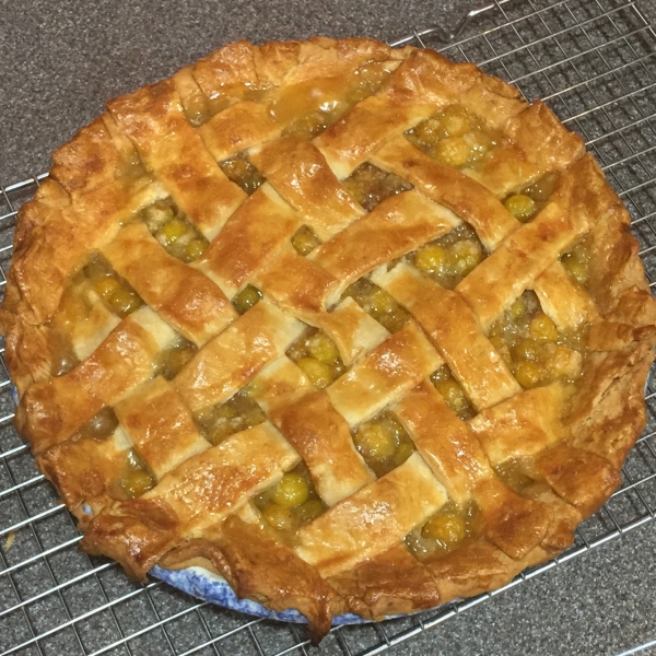 Ground Cherry Pie I