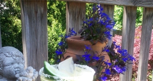 Austin Margarita (aka Mexican Martini)