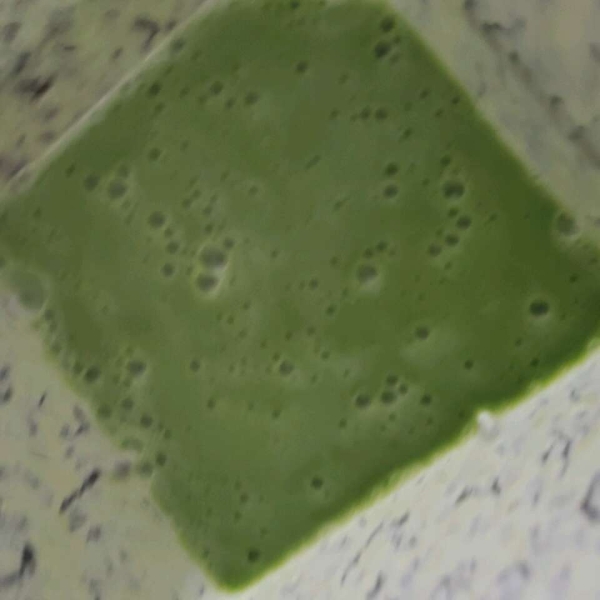 Tropical Smoothie with Kale