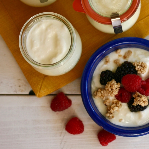 Traditional Homemade Yogurt