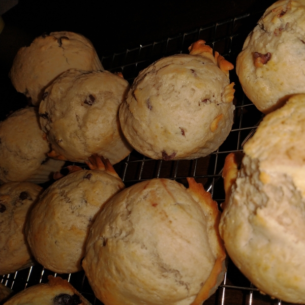 Chocolate Chip Muffins