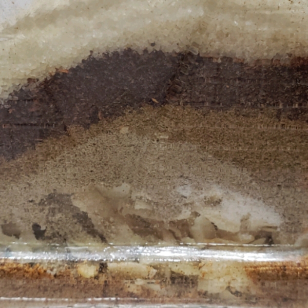 Taco Bell Seasoning Copycat