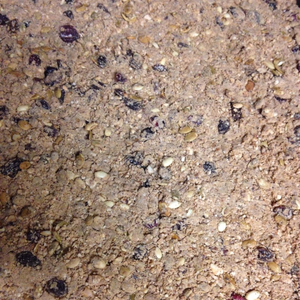 Homemade Protein Bars - Paleo Friendly