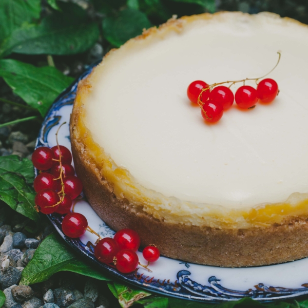 Grandma's Take on Classic Cheesecake
