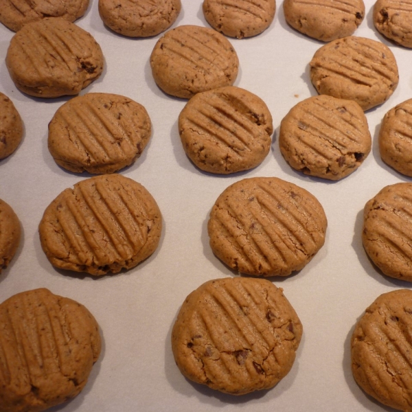 Nut Butter Chocolate Chip Cookies (Gluten-Free)