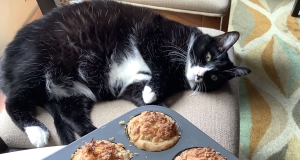 Hawaiian Cookie Tarts