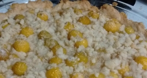 Ground Cherry Pie II