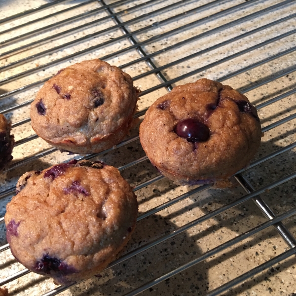 Paleo One-Minute Muffin