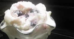 Creamy Vanilla Frozen Yogurt