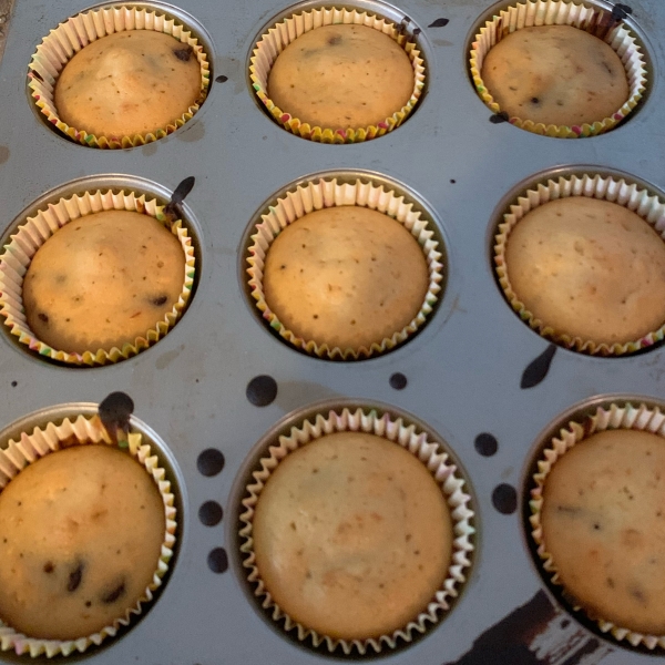 Chocolate Chip Sourdough Muffins