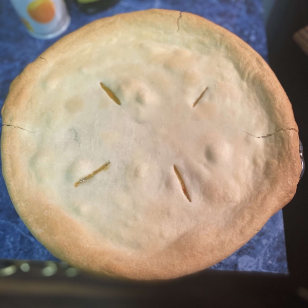 Fast and Easy Turkey Pot Pie