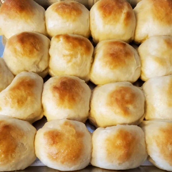 Homemade Pan Rolls