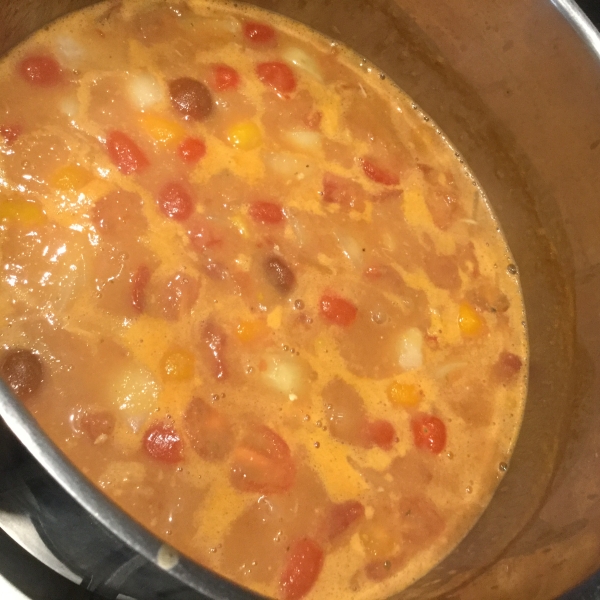 Catherine's Spicy Chicken Soup