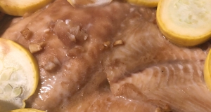 Ginger Snapper