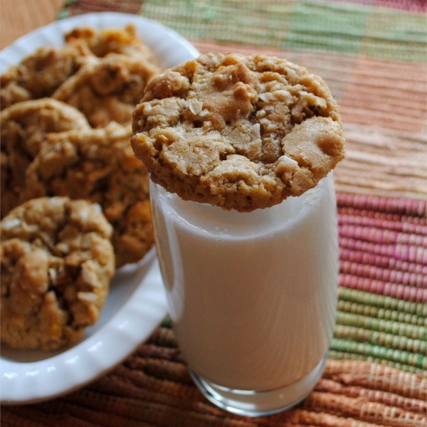 Dishpan Cookies I