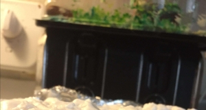 Double-Decker Marshmallow Fudge